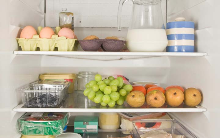 Storing Too Much Food in the Fridge